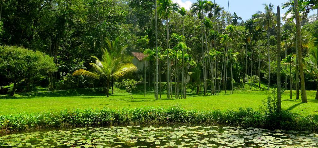 Siri Wedamadura Villa Weligama Bilik gambar